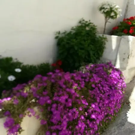 Casa Vacacional Сasa de vacaciones