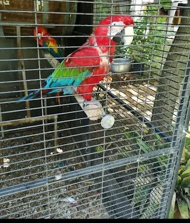 Casa Vacacional Vakantiehuis *
